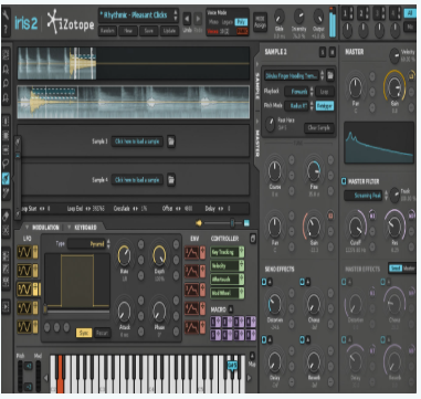 iZotope IRIS2